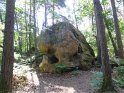 2017-06-01 10-54-10 Rando Fontainebleau DLe